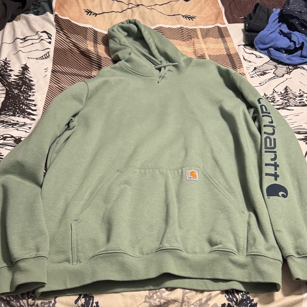 Carhartt Men's Sage Green Hoodie with Navy Logo